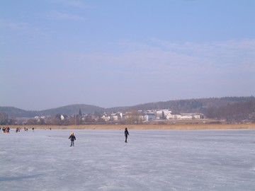 Seegfrörne am westlichen Bodensee